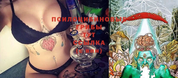 не бодяженный Алексин