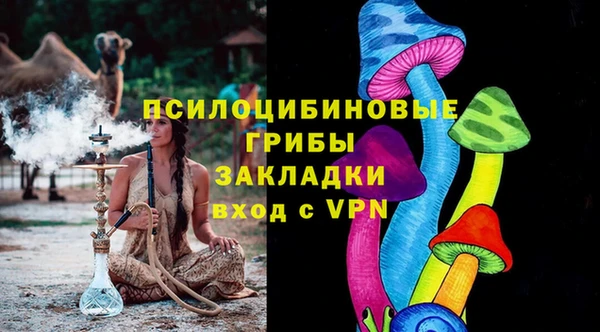 хмурый Покачи