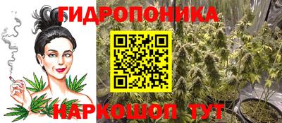 spice Камышлов