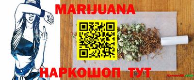 spice Камышлов