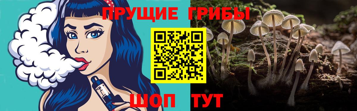 Псилоцибиновые грибы MAGIC MUSHROOMS  Вход с VPN  Кудрово  Галлюциногенные грибы GOLDEN TEACHER 