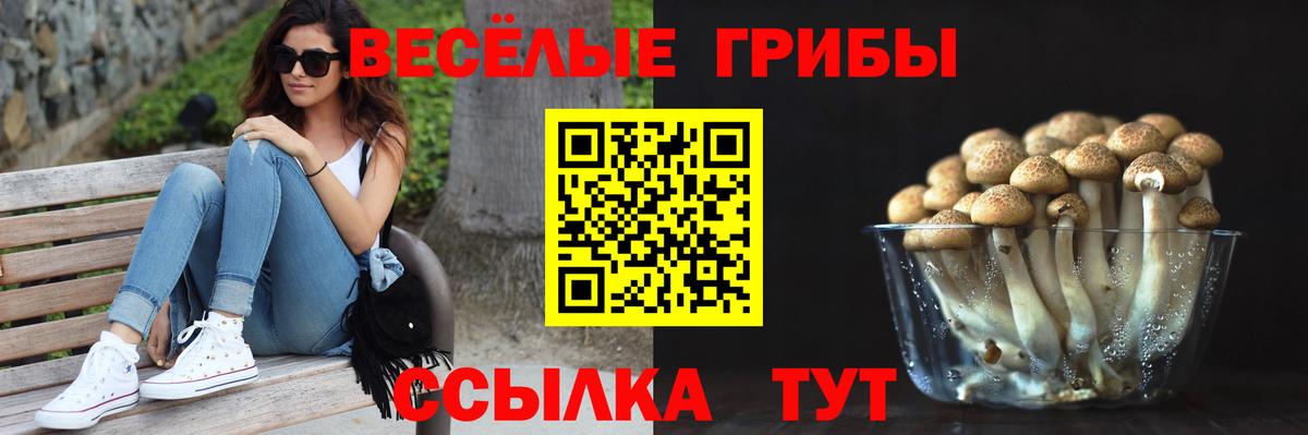 Псилоцибиновые грибы Psilocybine cubensis Кудрово